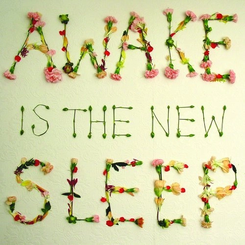 BEN LEE / ベン・リー / AWAKE IS THE NEW SLEEP