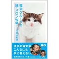 DENKI GROOVE / 電気グルーヴ / 電気グルーヴの続・メロン牧場下巻