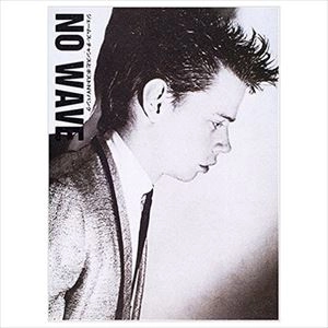 JAMES CHANCE / ジェームス・チャンス / NO WAVE - ジェームス･チャンスとポストNYパンク