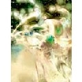 MASAKATSU TAKAGI / 高木正勝 / BLOOMY GIRLS