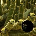 LUKE VIBERT / ルーク・ヴァイバート / WE HEAR YOU