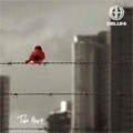 DELUHI / デルヒ / トゥー・ハート