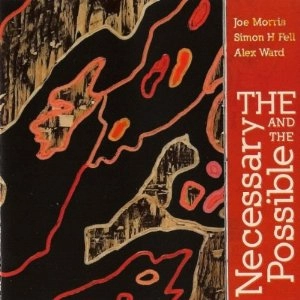JOE MORRIS / ジョー・モリス / NECESSARY AND THE POSSIBLE
