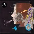 V.A. (PSYCHE) / DIRTY FRENCH PSYCHEDELICS