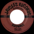 BIRDWAVE / HARD TIMES + BREAK IT DOWN