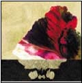 Z (ex-THERE IS A LIGHT THAT NEVER GOES OUT) / 御壁