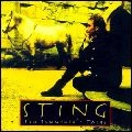 STING / スティング / テン･サマナーズ･テイルズ（紙ジャケット)