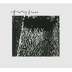 FLAMING TUNES / FLAMING TUNES