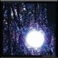 SIX ORGANS OF ADMITTANCE / シックス・オルガンズ・オブ・アドミッタンス / LUMINOUS NIGHT