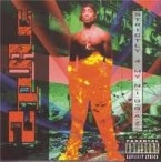 2PAC / トゥーパック / STRICTLY FOR MY N.I.G.G.A.Z.