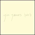 YIM YAMES (JIM JAMES FROM MY MORNING JACKET) / TRIBUTE TO