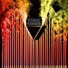 VITALIC / ヴァイタリック / FLASHMOB