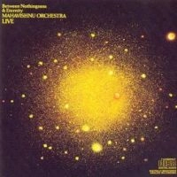 MAHAVISHNU ORCHESTRA / マハヴィシュヌ・オーケストラ / BETWEEN NOTHINGNESS & ETERNITY