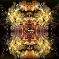 ZOMBY / ゾンビー / DIGITAL FLORA