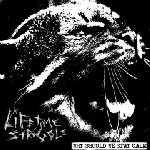 LIFETIME STRUGGLE / ライフタイムストラグル / WHY SHOULD WE STAY CALM