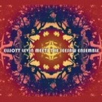 ELLIOTT LEVIN / エリオット・レヴィン / MEETS THE SEESAW ENSEMBLE