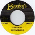 WAILERS (REGGAE) / ウェイラーズ (REGGAE) / CHEER UP