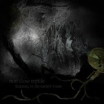 RUIN CLOSE REPTILE / ｌｏｉｔｅｒｉｎｇｉｎｎａｒｒｏｗ