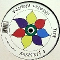 GABRIEL ANANDA / BELL/SCHNEE