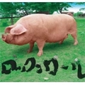 Margaret Drawers / マーガレットズロース / マーガレットズロースのロックンロール