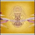 DEVENDRA BANHART / デヴェンドラ・バンハート / ホワット・ウィル・ウィー・ビー