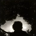 BLACK FEATHER / ブラック・フェザー / ＳＩＬＨＯＵＥＴＴＥ