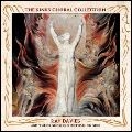 RAY DAVIES / レイ・デイヴィス / ザ・キンクス・コーラル・コレク