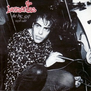 BARRACUDAS / バラクーダス / THE BIG GAP 1978-1981