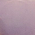 PURPLE BRAIN / RVNG PRSNTS MX7 & MX7SEVEN