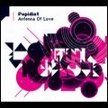 POPIDIOT / ANTENNA OF LOVE