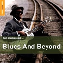 V.A. (ROUGH GUIDE TO MUSIC) / オムニバス / ROUGH GUIDE TO BLUES & BEYOND (BONUS CD)