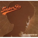 D.N.A & DJ SOUTHPAWCHOP / ＳＵＰＥＲ　ＦＬＹ
