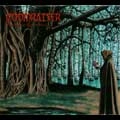 DOOMRAISER / ERASING THE REMEMBRANCE