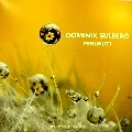 DOMINIK EULBERG / ドミニク・オイルベルク / PERLMUTT