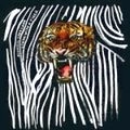 ACOUSTIC LADYLAND / アコースティック・レディランド / LIVING WITH A TIGER