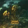 ABYSMAL TORMENT / OMNICIDE