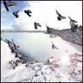 RED SEASON SHADE / レッド・シーズン・シェード / インテリアズ