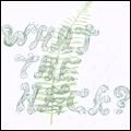 V.A./ Rock (US&Canada) / WHAT THE HECK? 2009