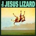 JESUS LIZARD / ジーザス・リザード / DOWN (REMASTER REISSUE)
