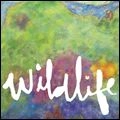 HEADLIGHTS / ヘッドライツ / WILDLIFE