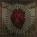 BELLA MORTE / BEAUTIFUL DEATH
