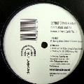 DETROIT GRAND PUBAHS / BUTTFUNKULA AND THE REMIXES FROM EARTH VOL
