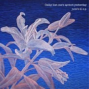 CATHY LOST ONE'S APRICOT YESTERDAY / ｊｕｌｉｅ'ｓｉｌｌｅ．（ＣＤＲ）