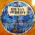CRITYCAL DUB & ACUNA / PUSH THE BASS/SOUNDBWOY KILLLA