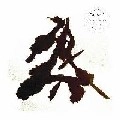 ANTYE GREIE aka AGF / EINZELKAMPFER(LONE WARRIOR)