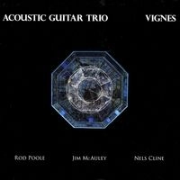 ACOUSTIC GUITAR TRIO / VIGNES