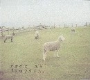 オオクボエミ / スロウタイム（ＣＤＲ）