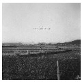 FLICA / フリカ / ＴＥＬＥＰＡＲＴＹ　ＤＲＥＡＭＳ
