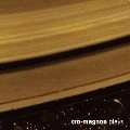 CRO-MAGNON  / クロマニヨン / ＣＲＯ－ＭＡＧＮＯＮ　ＰＬＡＹＳ