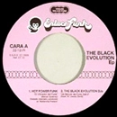V.A. (THE BLACK EVOLUTION) / THE BLACK EVOLUTION EP